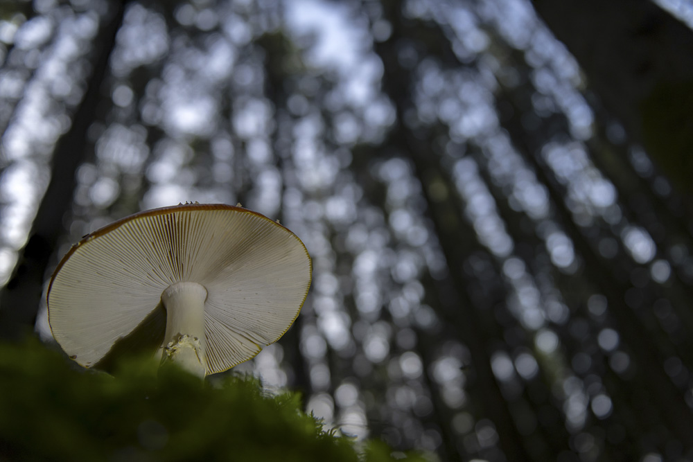 Platz 9 Robert Seitz